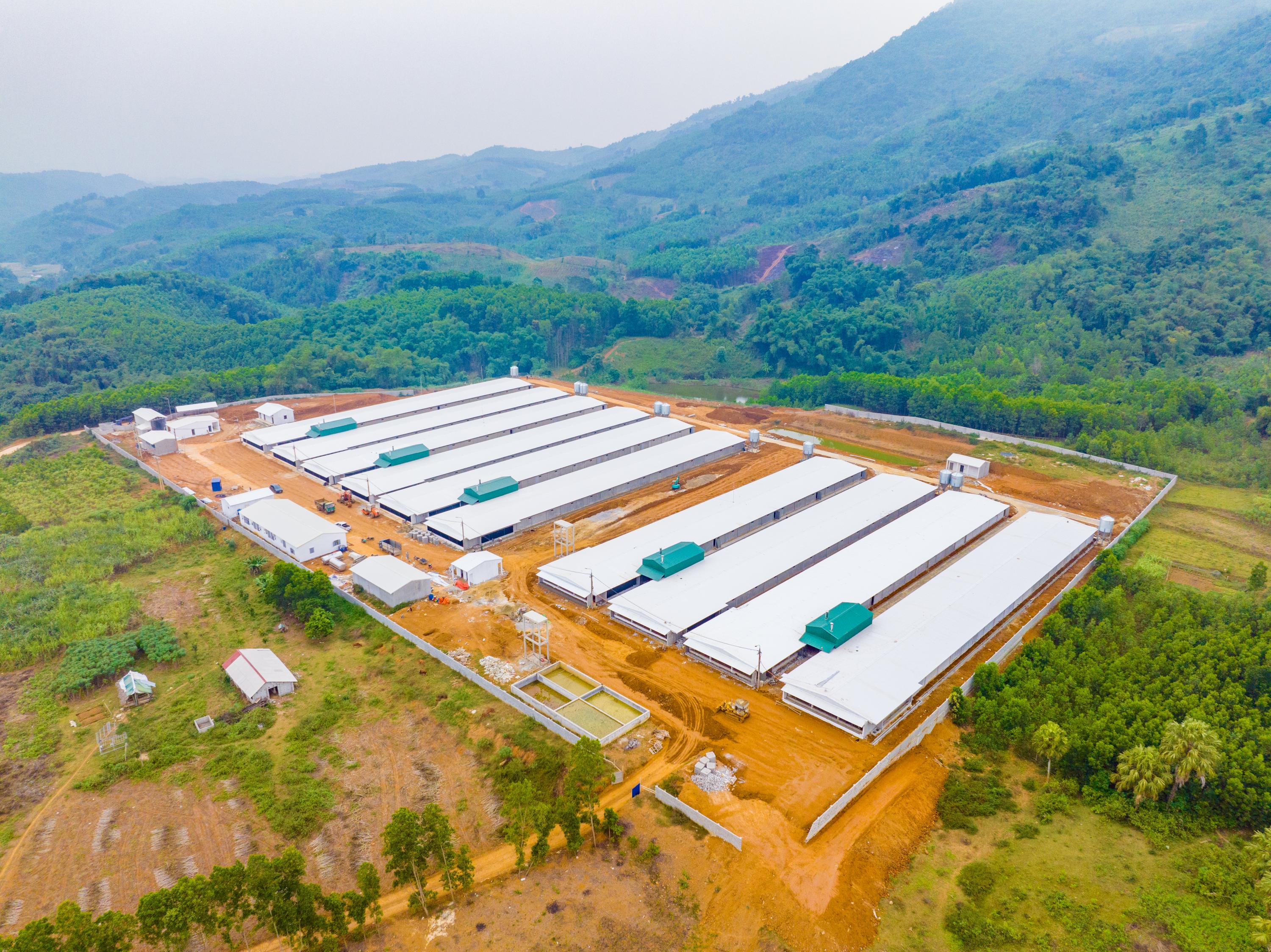 Nông nghiệp / Nuôi trồng, chế biến thực phẩm