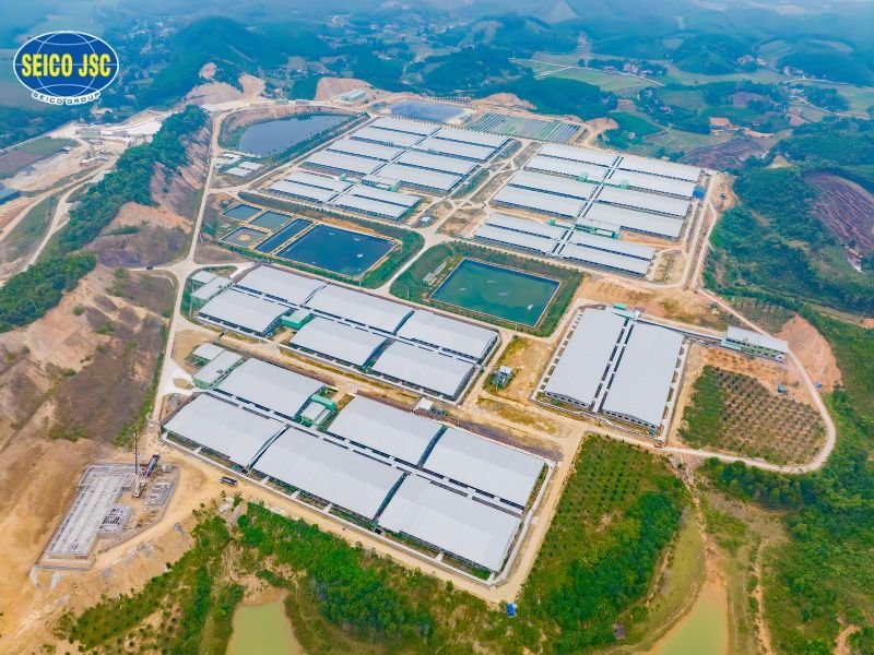 Trang trại nhà thép nhẹ tối ưu chi phí lắp dựng và thời gian thi công Trang trại nhà thép nhẹ tối ưu chi phí lắp dựng và thời gian thi công