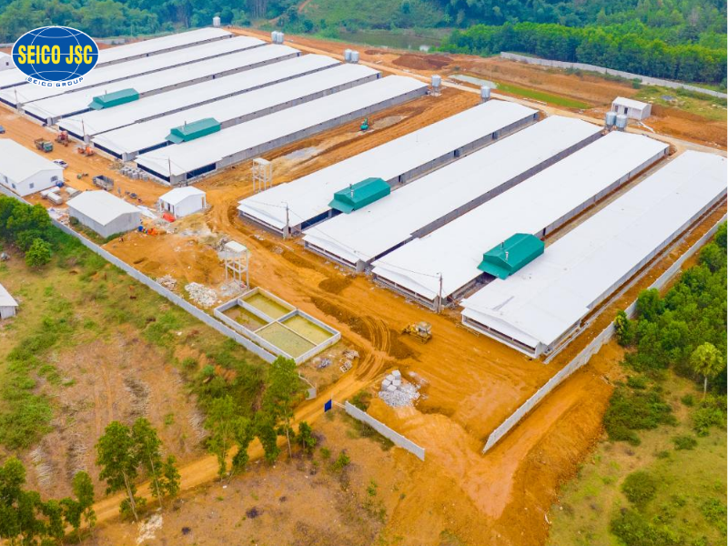 Trại chăn nuôi gà phục vụ xuất khẩu công nghệ cao - 4A Cao Ngọc