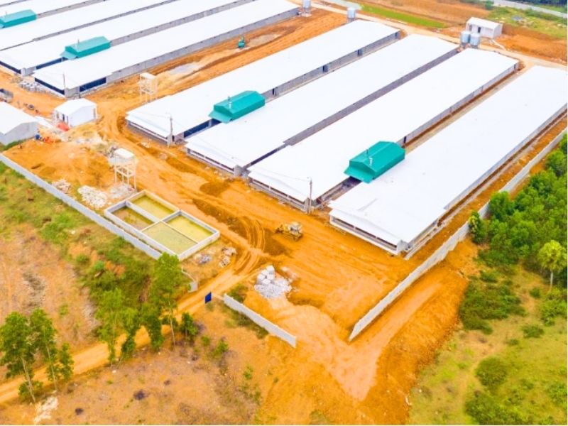 Nhà thép tiền chế trong nông nghiệp: Giải pháp bền vững & Tối ưu chi phí